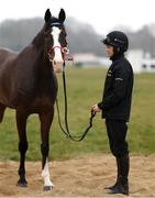 10 March 2025: Jockey Rachael Blackmore with Workahead ahead of the Cheltenham Racing Festival at Prestbury Park in Cheltenham, England. Photo by Harry Murphy/Sportsfile