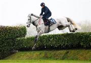 10 March 2025: Jockey Sam Ewing on Coko Beach jump the cheese wedge on the gallops ahead of the Cheltenham Racing Festival at Prestbury Park in Cheltenham, England. Photo by Harry Murphy/Sportsfile