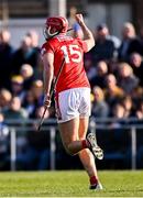 9 March 2025; Brian Hayes of Cork celebrates after scoring his side's fourth goalduring the Allianz Hurling League Division 1A match between Clare and Cork at Zimmer Biomet Páirc Chíosóg in Ennis, Clare. Photo by Piaras Ó Mídheach/Sportsfile