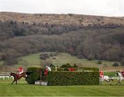 12 March 2025; Runners and riders jump the last during The Glenfarclas Cross Country Steeple Chase on day two of the Cheltenham Racing Festival at Prestbury Park in Cheltenham, England. Photo by Harry Murphy/Sportsfile