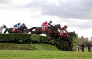 12 March 2025; Mister Coffey, with Nico de Boinville up, 11, jumps the last alongside race-winner Stumptown, with Keith Donoghue up, hidden, during The Glenfarclas Cross Country Steeple Chase on day two of the Cheltenham Racing Festival at Prestbury Park in Cheltenham, England. Photo by Harry Murphy/Sportsfile