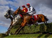 12 March 2025; Runners and riders during The Glenfarclas Cross Country Steeple Chase on day two of the Cheltenham Racing Festival at Prestbury Park in Cheltenham, England. Photo by David Fitzgerald/Sportsfile