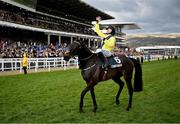 12 March 2025; Sean Flanagan, aboard Marine Nationale, celebrates after winning The BetMGM Queen Mother Champion Steeple Chase on day two of the Cheltenham Racing Festival at Prestbury Park in Cheltenham, England. Photo by David Fitzgerald/Sportsfile