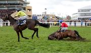 12 March 2025; Quilixios, unseats rider Darragh O'Keeffe as he falls at the last as eventual winner Marine Nationale, 6, with Sean Flanagan up, races for the finish on it's way to winning The BetMGM Queen Mother Champion Steeple Chase on day two of the Cheltenham Racing Festival at Prestbury Park in Cheltenham, England. Photo by Harry Murphy/Sportsfile