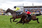 12 March 2025; Quilixios, unseats rider Darragh O'Keeffe as he falls at the last as eventual winner Marine Nationale, 6, with Sean Flanagan up, races for the finish on it's way to winning The BetMGM Queen Mother Champion Steeple Chase on day two of the Cheltenham Racing Festival at Prestbury Park in Cheltenham, England. Photo by Harry Murphy/Sportsfile