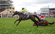 12 March 2025; Quilixios, unseats rider Darragh O'Keeffe as he falls at the last as eventual winner Marine Nationale, 6, with Sean Flanagan up, races for the finish on it's way to winning The BetMGM Queen Mother Champion Steeple Chase on day two of the Cheltenham Racing Festival at Prestbury Park in Cheltenham, England. Photo by Harry Murphy/Sportsfile