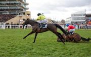 12 March 2025; Quilixios, unseats rider Darragh O'Keeffe as he falls at the last as eventual winner Marine Nationale, 6, with Sean Flanagan up, races for the finish on it's way to winning The BetMGM Queen Mother Champion Steeple Chase on day two of the Cheltenham Racing Festival at Prestbury Park in Cheltenham, England. Photo by Harry Murphy/Sportsfile