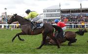 12 March 2025; Quilixios, unseats rider Darragh O'Keeffe as he falls at the last as eventual winner Marine Nationale, 6, with Sean Flanagan up, races for the finish on it's way to winning The BetMGM Queen Mother Champion Steeple Chase on day two of the Cheltenham Racing Festival at Prestbury Park in Cheltenham, England. Photo by Harry Murphy/Sportsfile