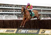 12 March 2025; Jazzy Matty, with Danny Gilligan up, on their way to winning The Debenhams Johnny Henderson Grand Annual Handicap Steeple Chase Challenge Cup on day two of the Cheltenham Racing Festival at Prestbury Park in Cheltenham, England. Photo by Harry Murphy/Sportsfile