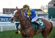 12 March 2025; Jody Townend, aboard Bambino Fever, celebrates after winning The Weatherbys Champion Bumper on day two of the Cheltenham Racing Festival at Prestbury Park in Cheltenham, England. Photo by Harry Murphy/Sportsfile