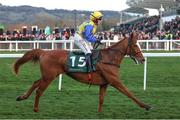 12 March 2025; Bambino Fever, with Jody Townend up, on their way to winnning The Weatherbys Champion Bumper at Day Two of The Cheltenham Racing Festival at Prestbury Park in Cheltenham, England. Photo by Harry Murphy/Sportsfile