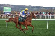 12 March 2025; Bambino Fever, with Jody Townend up, on their way to winnning The Weatherbys Champion Bumper at Day Two of The Cheltenham Racing Festival at Prestbury Park in Cheltenham, England. Photo by Harry Murphy/Sportsfile