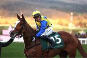 12 March 2025; Jody Townend, aboard Bambino Fever, celebrates after winning The Weatherbys Champion Bumper on day two of the Cheltenham Racing Festival at Prestbury Park in Cheltenham, England. Photo by Harry Murphy/Sportsfile