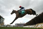 12 March 2025; Dancing On My Own, with Rachael Blackmore up, jumps the last during The Debenhams Johnny Henderson Grand Annual Handicap Steeple Chase Challenge Cup on day two of the Cheltenham Racing Festival at Prestbury Park in Cheltenham, England. Photo by Harry Murphy/Sportsfile