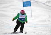 12 March 2025; Lucy Best of Team Ireland, a member of Skiability Northern Ireland, Balinderry, Antrim, on her way to winning Gold in the Novice Giant Slalon Final, division eight, during day four of the Turin 2025 Special Olympics World Winter Games in Sestriere, Italy. Photo by Ray McManus/Sportsfile