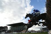 12 March 2025; Runners and riders jump the last first time round during The BetMGM Queen Mother Champion Steeple Chase on day two of the Cheltenham Racing Festival at Prestbury Park in Cheltenham, England. Photo by Harry Murphy/Sportsfile