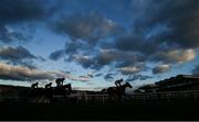 12 March 2025; Bambino Fever, with Jody Townend up, on their way to winnning The Weatherbys Champion Bumper at Day Two of The Cheltenham Racing Festival at Prestbury Park in Cheltenham, England. Photo by Harry Murphy/Sportsfile