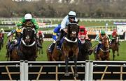 13 March 2025; Doddiethegreat, with Brian Hughes up, jump the last on their way to winning the Pertemps Network Final Handicap Hurdle on day three of the Cheltenham Racing Festival at Prestbury Park in Cheltenham, England. Photo by David Fitzgerald/Sportsfile