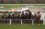 13 March 2025; Runners and riders jump the last, first time round, during the Pertemps Network Final Handicap Hurdle on day three of the Cheltenham Racing Festival at Prestbury Park in Cheltenham, England. Photo by Harry Murphy/Sportsfile