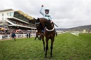 13 March 2025; Jockey Brian Hughes, aboard Doddiethegreat, celebrates after winning the Pertemps Network Final Handicap Hurdle on day three of the Cheltenham Racing Festival at Prestbury Park in Cheltenham, England. Photo by Harry Murphy/Sportsfile