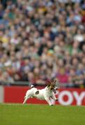 24 October 2004; A stray dog runs around the pitch during the early stages of the game. Coca Cola International Rules Series 2004, Second Test, Ireland v Australia, Croke Park, Dublin. Picture credit; Brendan Moran / SPORTSFILE *** Local Caption *** Any photograph taken by SPORTSFILE during, or in connection with, the 2004 Coca Cola International Rules Series which displays GAA logos or contains an image or part of an image of any GAA intellectual property, or, which contains images of a GAA player/players in their playing uniforms, may only be used for editorial and non-advertising purposes.  Use of photographs for advertising, as posters or for purchase separately is strictly prohibited unless prior written approval has been obtained from the Gaelic Athletic Association.