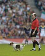 24 October 2004; A stray dog runs around the pitch during the game as referee Michael Collins keeps an eye on the play. Coca Cola International Rules Series 2004, Second Test, Ireland v Australia, Croke Park, Dublin. Picture credit; Brendan Moran / SPORTSFILE *** Local Caption *** Any photograph taken by SPORTSFILE during, or in connection with, the 2004 Coca Cola International Rules Series which displays GAA logos or contains an image or part of an image of any GAA intellectual property, or, which contains images of a GAA player/players in their playing uniforms, may only be used for editorial and non-advertising purposes.  Use of photographs for advertising, as posters or for purchase separately is strictly prohibited unless prior written approval has been obtained from the Gaelic Athletic Association.