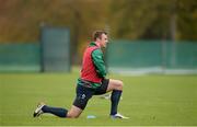 5 November 2013; Ireland's Tommy Bowe in action during squad training ahead of their Guinness Series International match against Samoa on Saturday. Ireland Rugby Squad Training, Carton House, Maynooth, Co. Kildare. Picture credit: Brendan Moran / SPORTSFILE