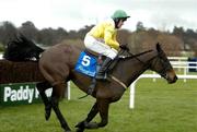 9 January 2005; Newmill, with Barry Geraghty up, clear the last on their way to winning the Paddy Fitzpatrick Memorial Novice Steeplechase. Leopardstown Racecourse, Dublin. Picture credit; Brendan Moran / SPORTSFILE