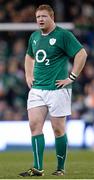 16 November 2013; Stephen Archer, Ireland. Guinness Series International, Ireland v Australia, Aviva Stadium, Lansdowne Road, Dublin. Picture credit: Stephen McCarthy / SPORTSFILE