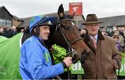 17 November 2013; Hurricane Fly, with Ruby Walsh, in the winners enclosure after winning the StanJames.com Morgiana Hurdle. Hurricane Fly became the first horse ever to win 17 Grade 1 races. Punchestown Racecourse, Punchestown, Co. Kildare. Picture credit: Barry Cregg / SPORTSFILE