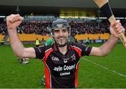 17 November 2013; Shaun Murphy, Oulart the Ballagh, celebrateS after the game. AIB Leinster Senior Club Hurling Championship, Semi-Final, Kilcormac/Killoughey, Offaly v Oulart the Ballagh, Wexford. O'Connor Park, Tullamore, Co. Offaly. Picture credit: Matt Browne / SPORTSFILE