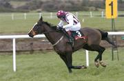 30 January 2005; Justified, with Mick Fitzgerald up, during the Byrne Group Plc Novice Hurdle. Punchestown Racecourse, Co. Kildare. Picture credit; David Maher / SPORTSFILE