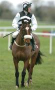 30 January 2005; Moscow Flyer, with Barry Geraghty up, canters to the start of the Byrne Group Plc Tied Cottage Steeplechase. Punchestown Racecourse, Co. Kildare. Picture credit; David Maher / SPORTSFILE