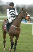 30 January 2005;  Moscow Flyer with Barry Geraghty up, canters to the start of the Byrne Group Plc Tied Cottage Steeplechase. Punchestown Racecourse, Co. Kildare. Picture credit; David Maher / SPORTSFILE