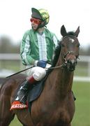 30 January 2005; Steel Band, with Gary Hutchinson up, canters to the start of  the Byrne Group Plc Tied Cottage Steeplechase. Punchestown Racecourse, Co. Kildare. Picture credit; David Maher / SPORTSFILE