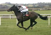 30 January 2005; Colnel Rayburn with Martin Ferriis up, during the Grand National Trial Handicap Steeplechase. Punchestown Racecourse, Co. Kildare. Picture credit; David Maher / SPORTSFILE