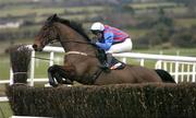 30 January 2005; Lime Supreme with Tommy Treacy up, clears the last during the Eadestown GAA Club Handicap Steeplechase. Punchestown Racecourse, Co. Kildare. Picture credit; David Maher / SPORTSFILE