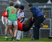24 November 2013; Shane Curran, St Brigid's goalkeeper, is carried off the pitch before being substituted during extra time. AIB Connacht Senior Club Football Championship Final, St Brigid's, Roscommon, v Castlebar Mitchels, Mayo. Dr. Hyde Park, Roscommon. Picture credit: David Maher / SPORTSFILE
