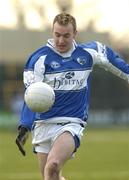 6 February 2005; Chris Bergin, Laois. Allianz National Football League, Division 1B, Laois v Limerick, O'Moore Park, Portlaoise, Co. Laois. Picture credit; Matt Browne / SPORTSFILE