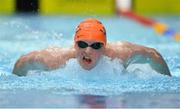 30 November 2013; Brendan Hyland, Tallaght swimming club, competing in the Men's 200M Butterfly at the Irish Short Course Swimming Championships 2013. Lagan Valley Leisureplex, Lisburn, Co. Antrim. Picture credit: Oliver McVeigh / SPORTSFILE