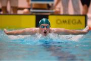 30 November 2013; David O'Sullivan, Galway swimming club, competing in the Men's 200M Butterfly at the Irish Short Course Swimming Championships 2013. Lagan Valley Leisureplex, Lisburn, Co. Antrim. Picture credit: Oliver McVeigh / SPORTSFILE