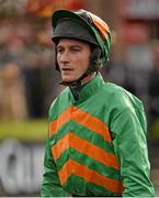 17 November 2013; Jockey Declan Skehan ahead of the I.N.H. Stallion Owners European Breeders Fund Maiden Hurdle. Punchestown Racecourse, Punchestown, Co. Kildare. Picture credit: Barry Cregg / SPORTSFILE