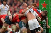 8 December 2013; The Munster front row of BJ Botha, left, Duncan Casey, centre, and James Cronin lead a scrum just before James Coughlan scored his side's fifth try. Heineken Cup 2013/14, Pool 6, Round 3, Munster v Perpignan, Thomond Park, Limerick. Picture credit: Diarmuid Greene / SPORTSFILE