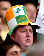19 March 2005; An Ireland fan pictured after the final whistle. RBS Six Nations Championship 2005, Wales v Ireland, Millennium Stadium, Cardiff, Wales. Picture credit; Pat Murphy / SPORTSFILE
