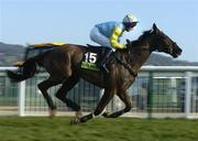 18 March 2005; Truckers Tavern, with Brian Harding up, in action during the Totesport Cheltenham Gold Cup. Cheltenham Festival, Prestbury Park, Cheltenham, England. Picture credit; Brendan Moran / SPORTSFILE