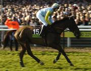 18 March 2005; Truckers Tavern, with Brian Harding up, canters to the start for the Totesport Cheltenham Gold Cup. Cheltenham Festival, Prestbury Park, Cheltenham, England. Picture credit; Pat Murphy / SPORTSFILE