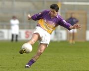 27 March 2005; John Hegarty, Wexford. Allianz National Football League, Division 1B, Wexford v Galway, Wexford Park, Wexford. Picture credit; Matt Browne / SPORTSFILE