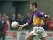 3 April 2005; Redmond Barry, Wexford. Allianz National Football League, Division 1B, Wexford v Laois, Wexford Park, Wexford. Picture credit; Matt Browne / SPORTSFILE