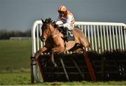 6 January 2014; The Pounds, with Roger Loughran up, jumps the last on their way to winning the I.N.H. Stallion Owners European Breeders Fund Maiden Hurdle. Thurles Racecourse, Thurles, Co. Tipperary. Picture credit: Barry Cregg / SPORTSFILE