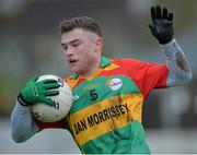 5 January 2014; Kieran Nolan, Carlow. Bord na Mona O'Byrne Cup, Group B, Round 1, Carlow v Longford, Dr. Cullen Park, Carlow. Picture credit: Matt Browne / SPORTSFILE